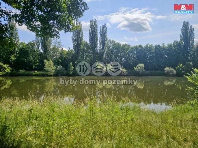 Prodej, Louka, Hradec Králové
