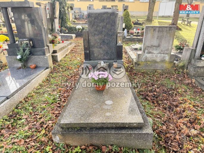 Prodej, Ostatní, Plzeň