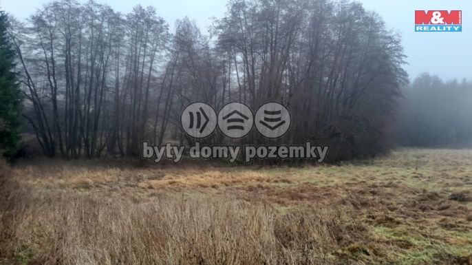 Prodej, Louka, Oselce