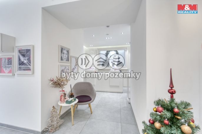 Pronájem, Obchod a služby, Plzeň