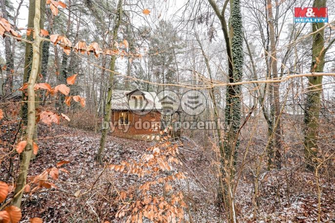 Prodej, Ostatní, Brno