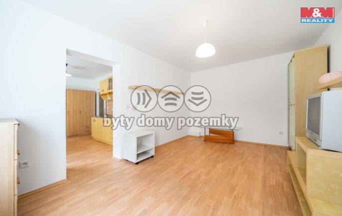 Pronájem, Byt 1+1, Praskolesy