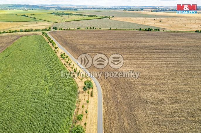 Prodej, Pole, Žatčany