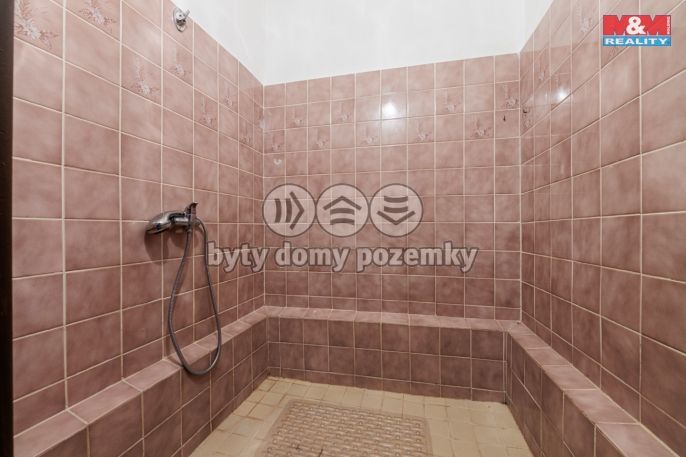 Prodej, Byt 4+1, Aš