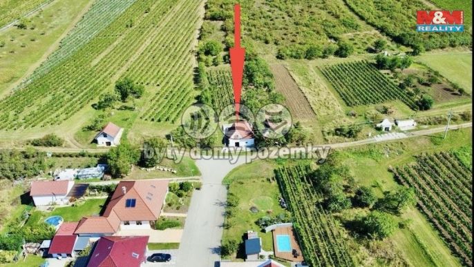 Prodej, Vinný sklep, Perná