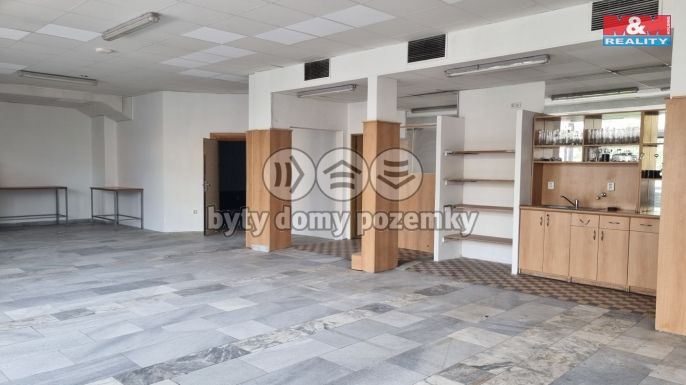 Pronájem, Obchod a služby, Český Těšín