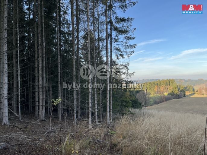 Prodej, Les, Borovnice
