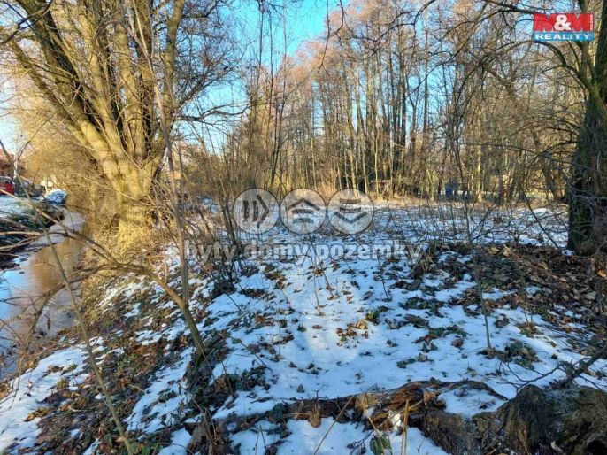 Prodej, Zahrada, Kořenice