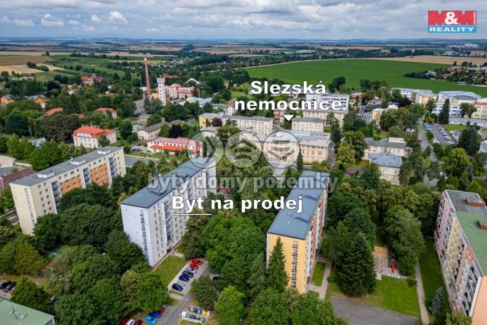 Prodej, Byt 3+kk, Opava