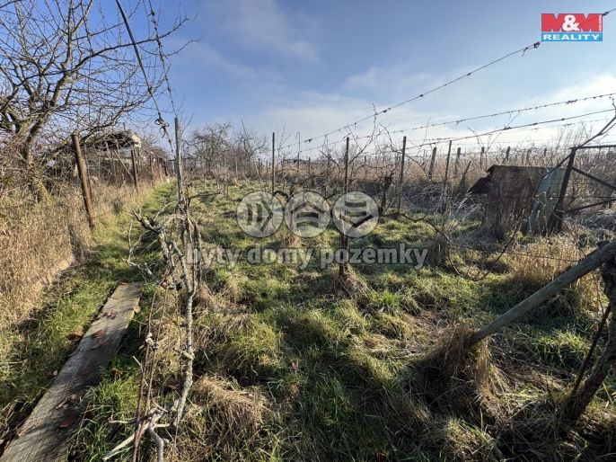 Prodej, Chata, Hrušovany u Brna