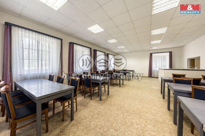 Prodej, Hotel, penzion, Petrovice