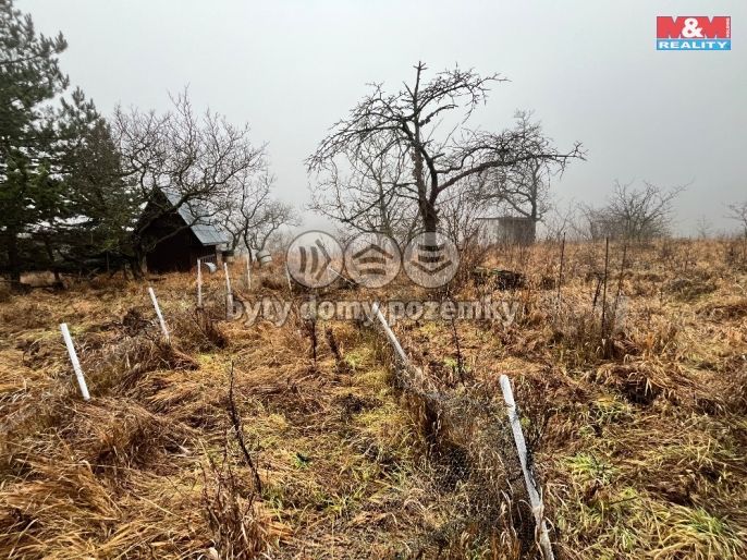 Prodej, Zahrada, Židlochovice