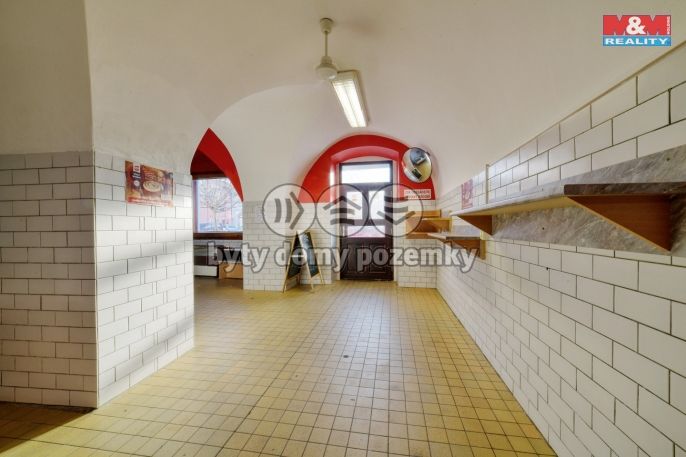 Pronájem, Obchod a služby, Planá