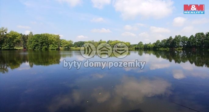 Prodej, Chata, Černíny