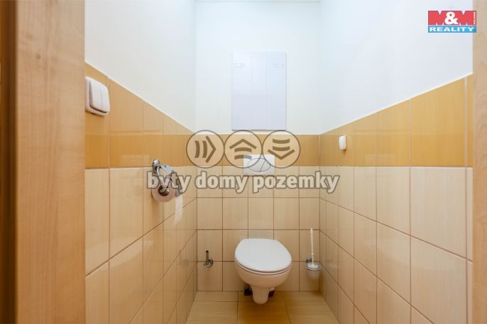 Pronájem, Byt 3+kk, Brandýs nad Labem-Stará Boleslav