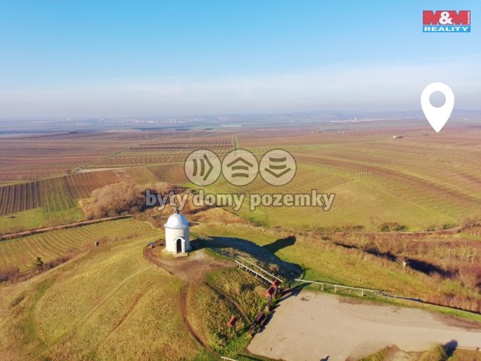 Prodej, Vinice, Velké Bílovice