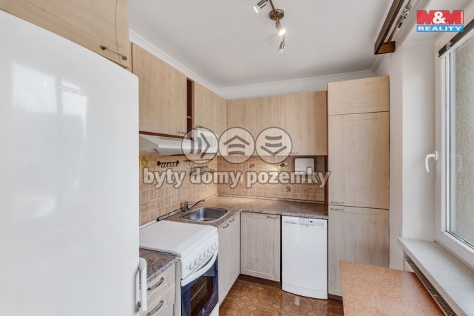 Prodej, Byt 3+1, Trubín