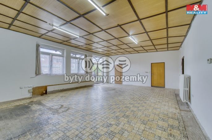 Pronájem, Výrobní objekt, Borovy