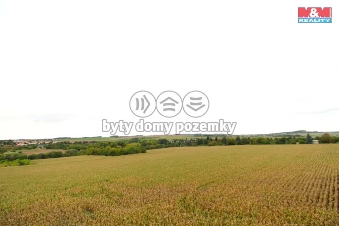 Pronájem, Byt 1+kk, Kolín