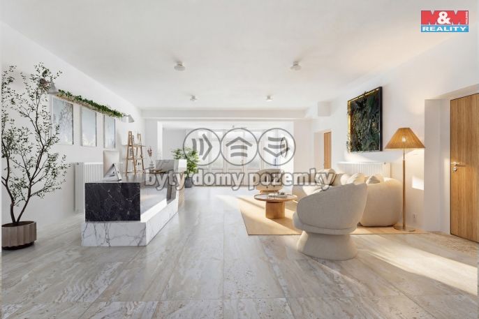 Prodej, Hotel, penzion, Borušov