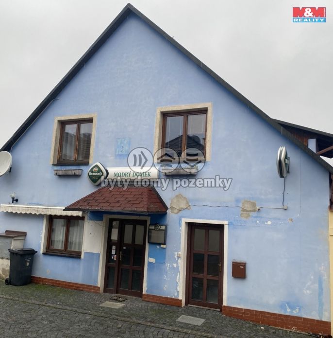 Pronájem, Obchod a služby, Opočno