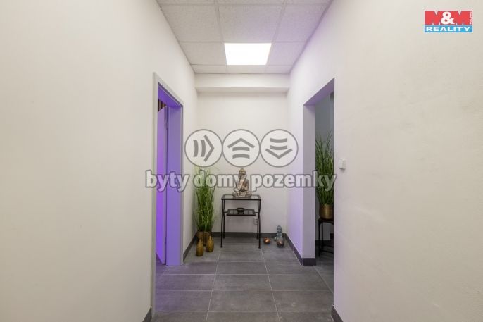 Pronájem, Kancelářský prostor, Louny