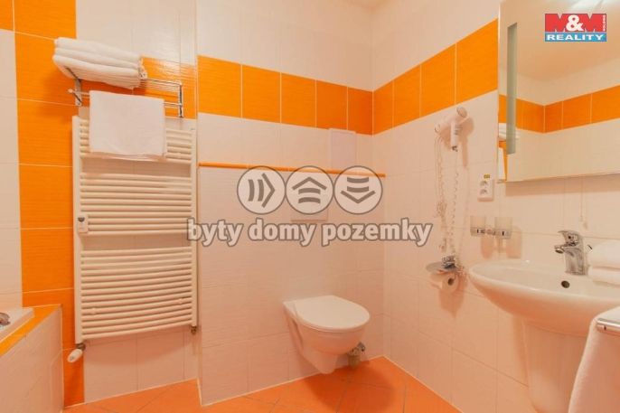 Prodej, Byt 1+1, Frymburk