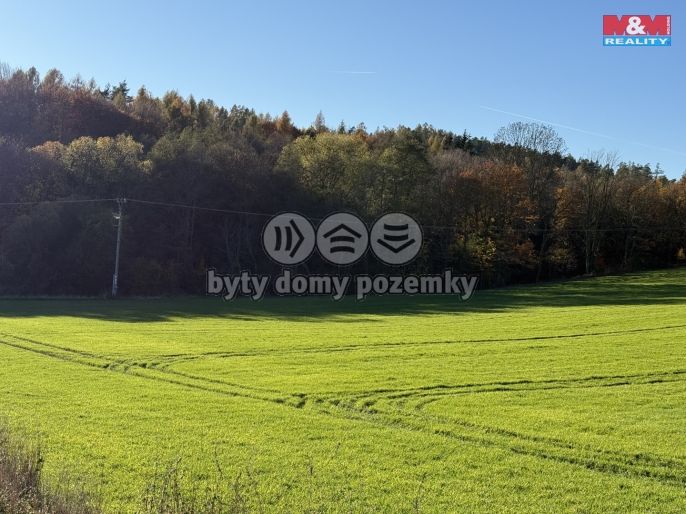 Prodej, Les, Velká Polom