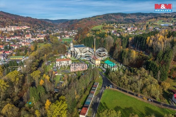 Prodej, Byt 3+1, Velké Hamry