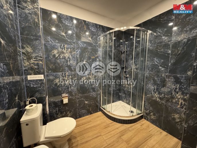 Pronájem, Byt 2+kk, Příseka