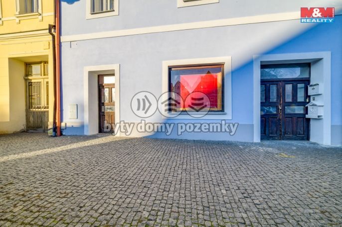 Pronájem, Obchod a služby, Planá