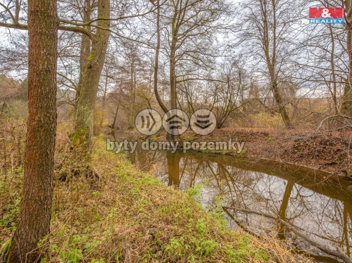 Prodej, Chata, Louňovice pod Blaníkem