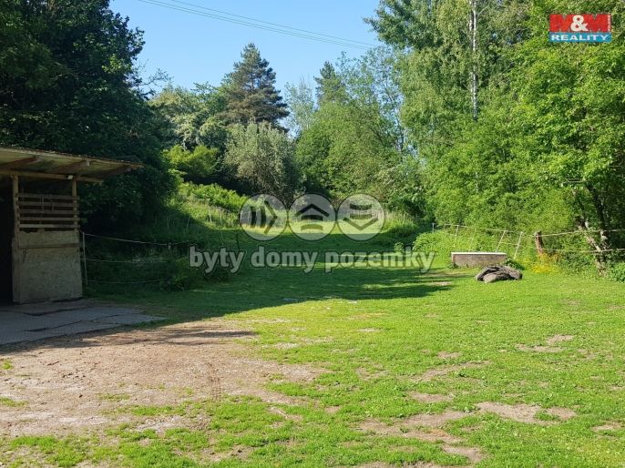 Pronájem, Pastvina, Kaznějov