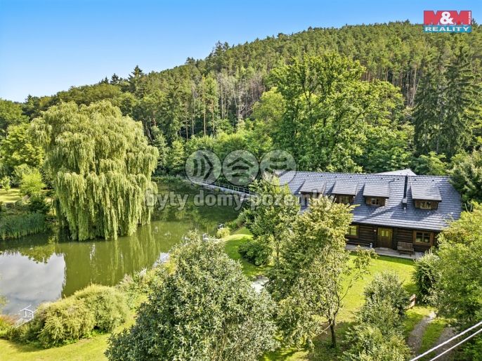 Prodej, Hotel, penzion, Borotice