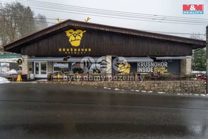 Prodej, Obchodní objekt, Kraslice