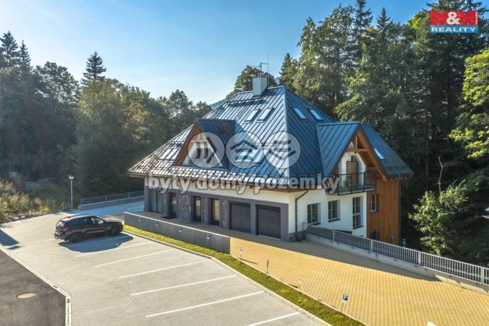 Prodej, Byt 1+kk, Harrachov