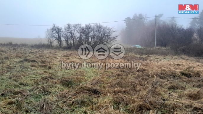 Prodej, Louka, Oselce