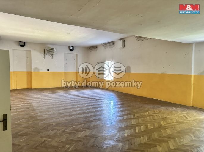 Pronájem, Ostatní, Dražice