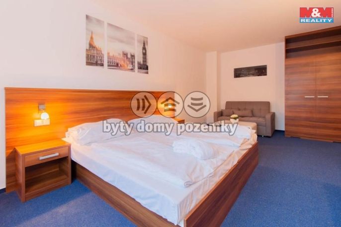 Prodej, Byt 1+1, Frymburk