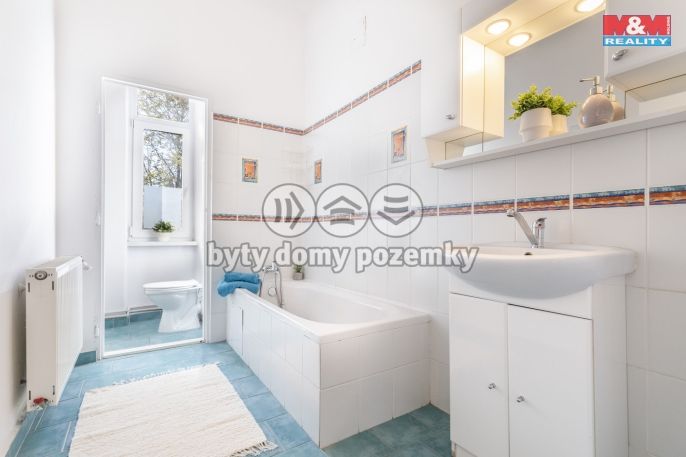 Pronájem, Byt 1+1, Český Těšín