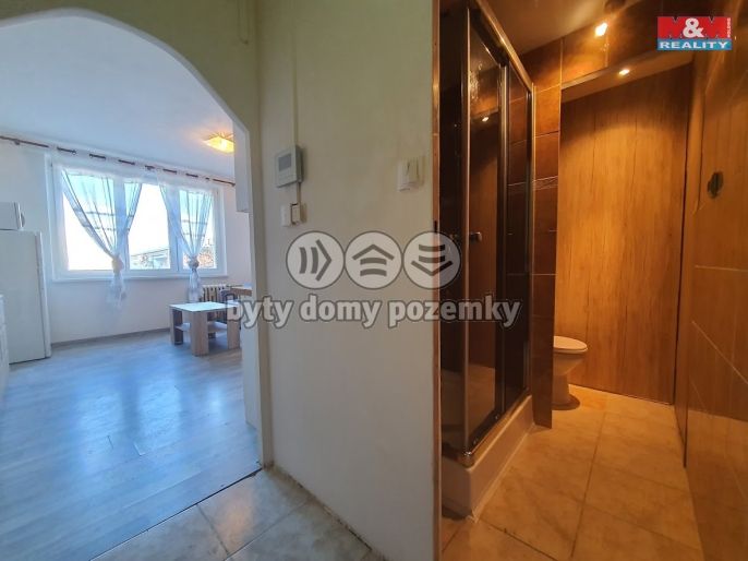 Pronájem, Byt 1+kk, Sokolov