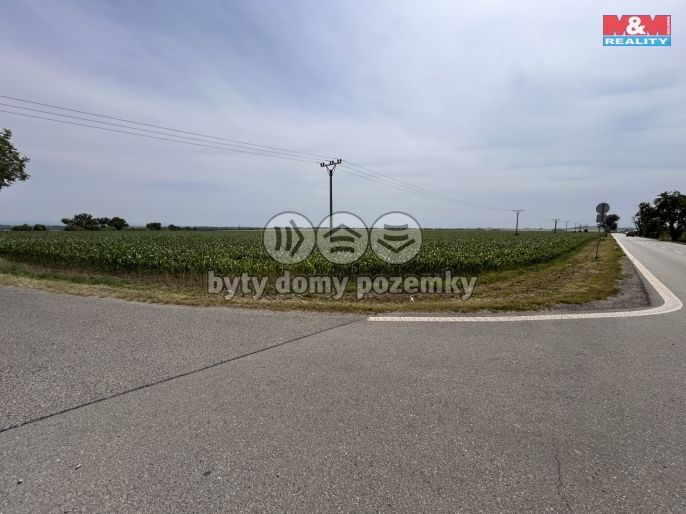 Prodej, Pole, Prostějov