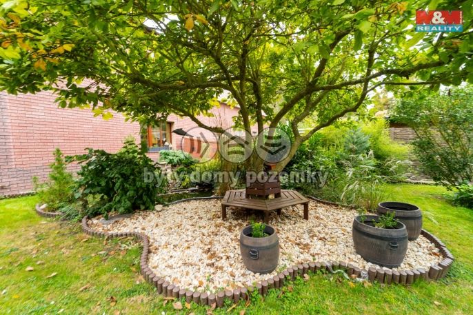 Prodej, Obchodní objekt, Bechyně