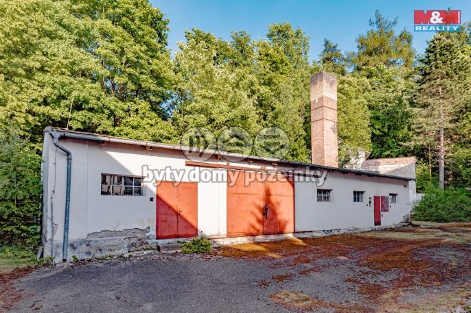 Prodej, Hotel, penzion, Nové Město nad Metují