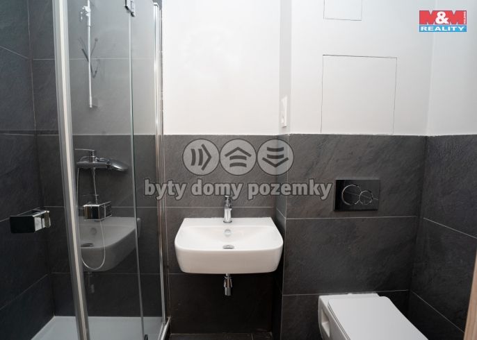 Pronájem, Byt 3+kk, Plzeň