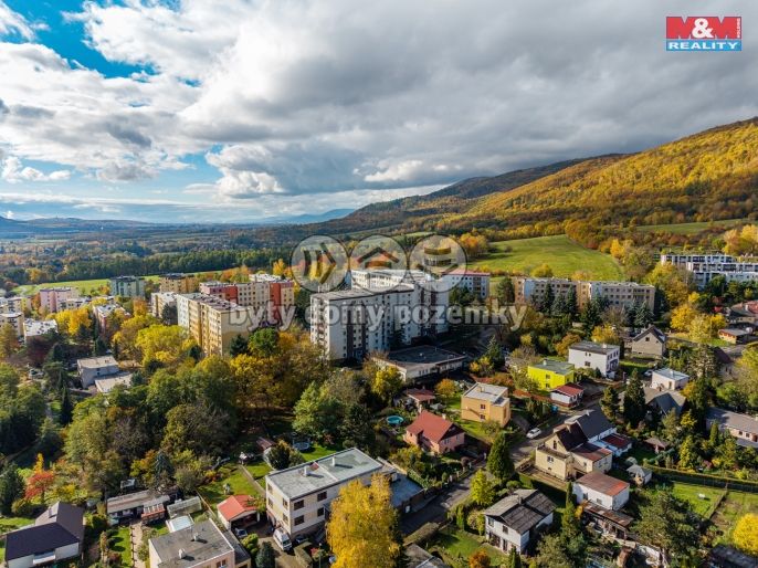 Prodej, Byt 1+kk, Chlumec