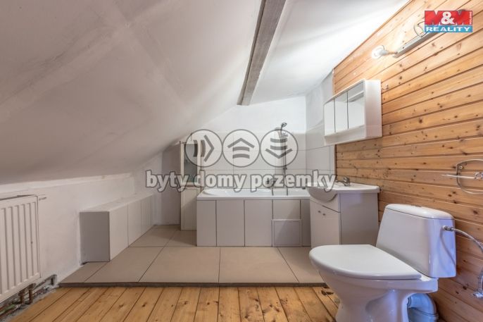 Prodej, Rodinný dům, Plavy