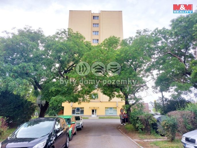 Pronájem, Byt 1+1, Mělník