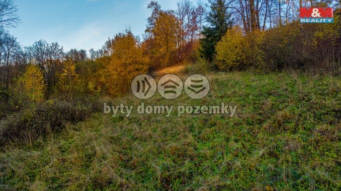 Prodej, Louka, Bílá