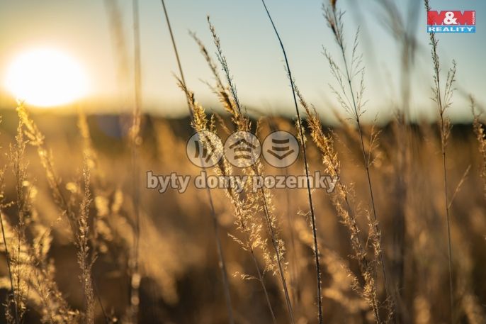 Prodej, Pozemek k bydlení, Nová Ves